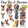 Dog Bowties  Ties - 144 Piece Display