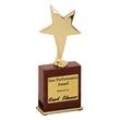 Free standing star shaped award