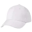 Price Buster Cap