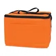Non-Woven Six Pack Kooler Bag