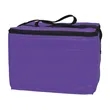 Non-Woven Six Pack Kooler Bag