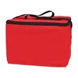 Non-Woven Six Pack Kooler Bag