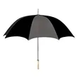 48" Arc Umbrella
