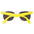 Rubberized Sunglasses