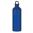 25 Oz. Aluminum Tundra Bike Bottle
