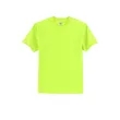 Hanes Authentic 100% Cotton T-Shirt.