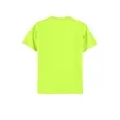 Hanes Authentic 100% Cotton T-Shirt.