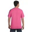 Comfort Colors Adult Heavyweight T-Shirt