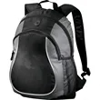Coil Backpack