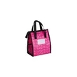 Laminated Non-Woven 6 Can Lunch Cooler