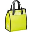 Laminated Non-Woven 6 Can Lunch Cooler