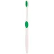 Winter Accent Toothbrush