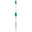 Winter Accent Toothbrush