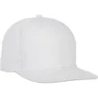 Unisex Forte Ballcap