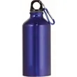 Phoenix Aluminum Bottle 17oz