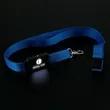 Lumi Light Up Logo Lanyard