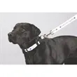 Full Color 1" Wide Premium Pet Leash