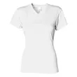 Ladies' Softek V-Neck T-Shirt