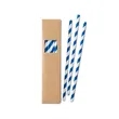 Paper Straw Set