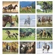 Horses