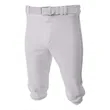 Youth Baseball Knicker Pant