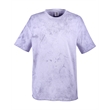 Adult Heavyweight Color Blast T-Shirt