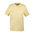 Adult Heavyweight Color Blast T-Shirt