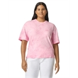 Adult Heavyweight Color Blast T-Shirt
