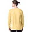 Men's 5.2 oz. ComfortSoft® Cotton Long-Sleeve T-Shirt