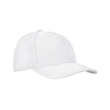Premium Curved Visor Snapback