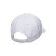 Premium Curved Visor Snapback