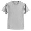 Hanes Authentic 100% Cotton T-Shirt.