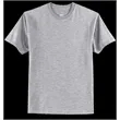 Hanes Authentic 100% Cotton T-Shirt.