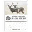 North American Wildlife